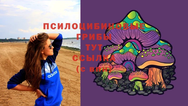 PSILOCYBIN Алексеевка