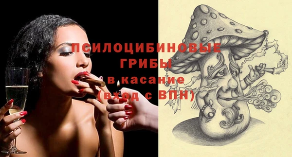 PSILOCYBIN Алексеевка